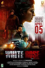 Постер Белая роза